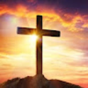 Meet your Posher, Anton